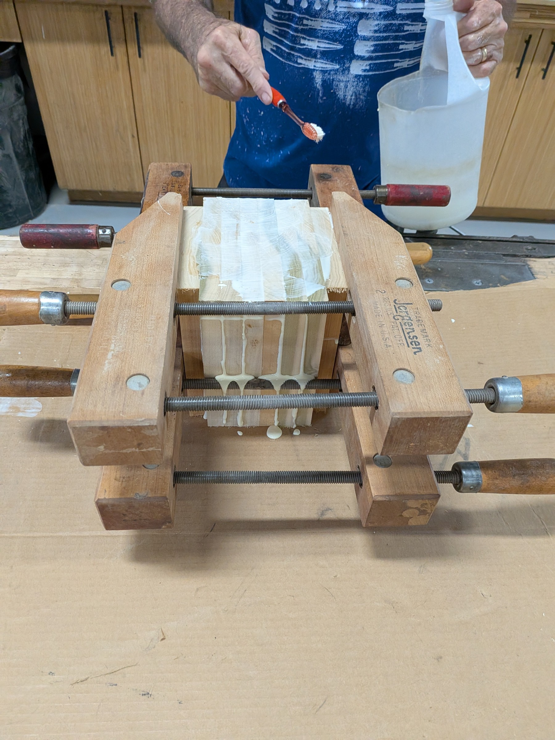 Poplar glue-up in clamps