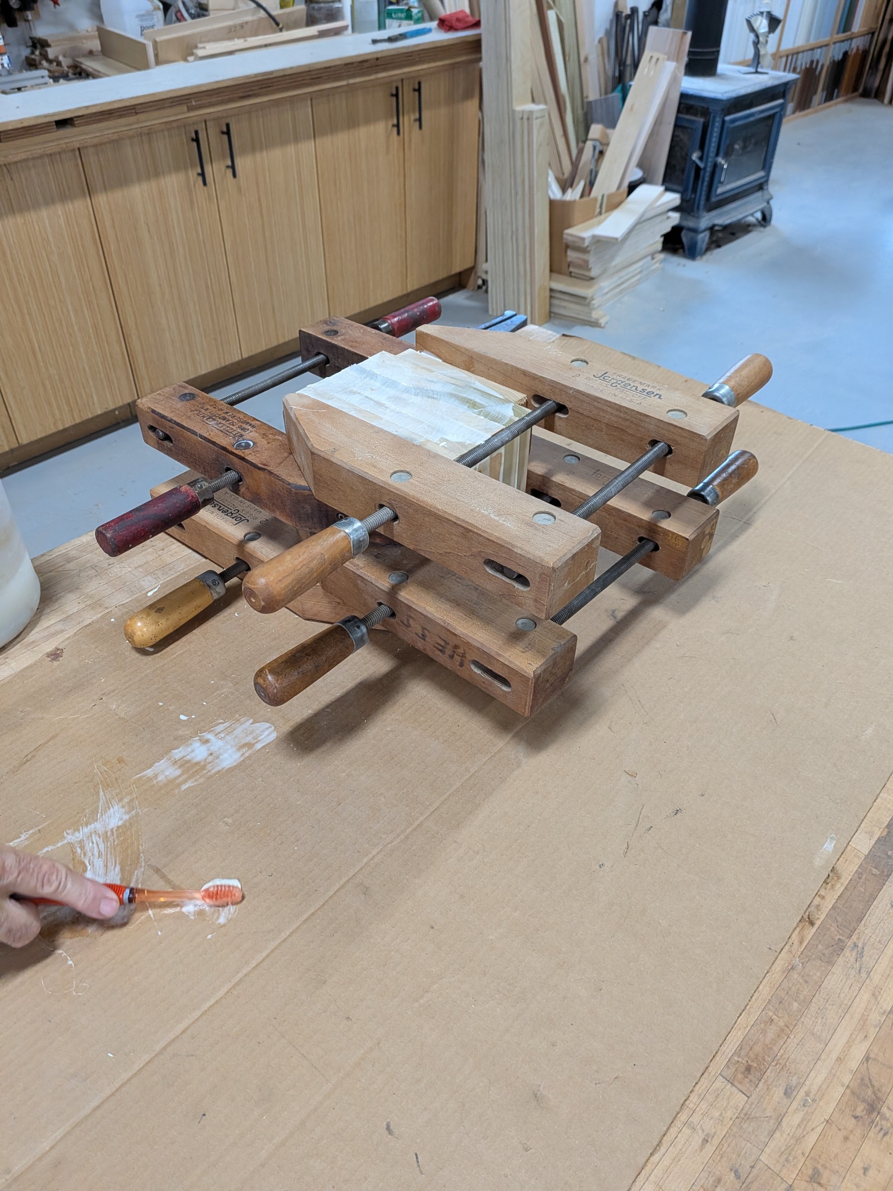 Poplar glue-up in clamps